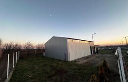 Hala 90 mp si 2000 mp teren in zona Petresti