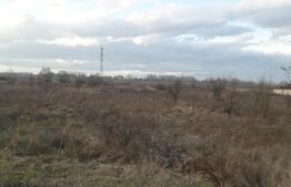 Teren, 6300mp, zona Dragutesti