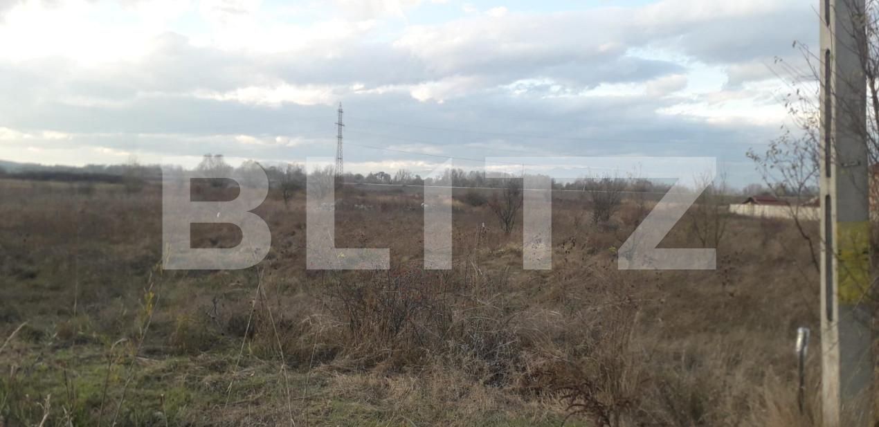 Teren de vânzare Exterior Sud - 148400TV | BLITZ Târgu Jiu | Poza1