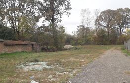 Teren, 570 mp, comuna Dragutesti