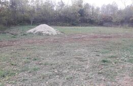 Teren, 570 mp, comuna Dragutesti