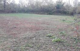 Teren, 570 mp, comuna Dragutesti