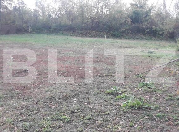 Teren de vânzare Exterior Sud - 148401TV | BLITZ Târgu Jiu | Poza4