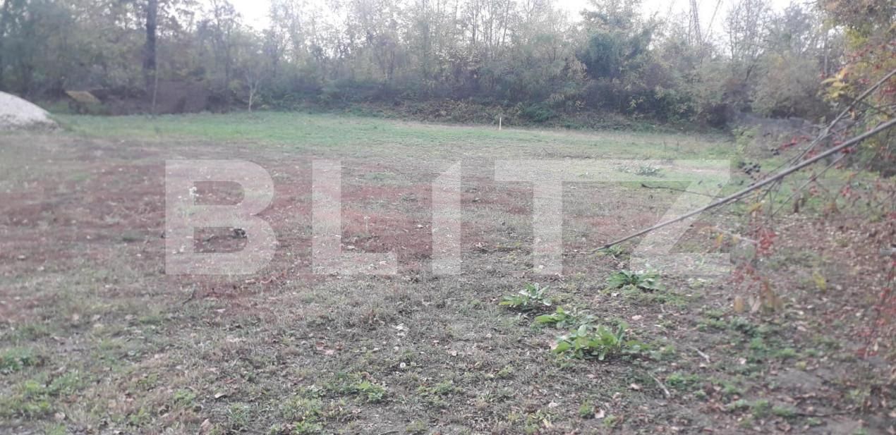 Teren de vânzare Exterior Sud - 148401TV | BLITZ Târgu Jiu | Poza4