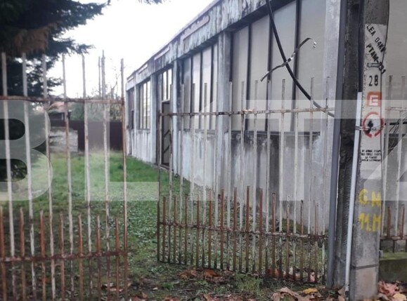 Teren de vânzare Panduraș - 148402TV | BLITZ Târgu Jiu | Poza2