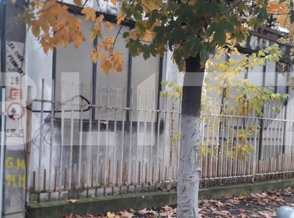 Teren de vânzare Panduraș - 148402TV | BLITZ Târgu Jiu | Poza1