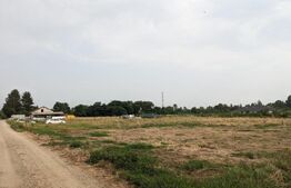 Teren intravilan, 710 mp, zona Turcinesti