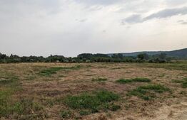 Teren intravilan, 710 mp, zona Turcinesti