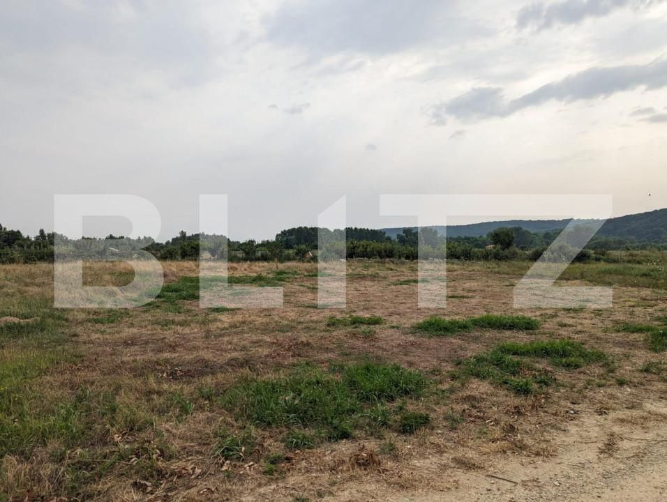 Teren de vânzare Exterior Nord - 148717TV | BLITZ Târgu Jiu | Poza2