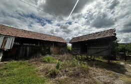 Casa P+1, zona Albeni si 2200 mp teren