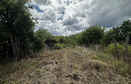 Casa P+1, zona Albeni si 2200 mp teren