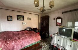 Casa P+1, zona Albeni si 2200 mp teren