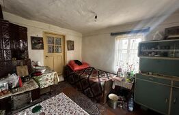 Casa P+1, zona Albeni si 2200 mp teren