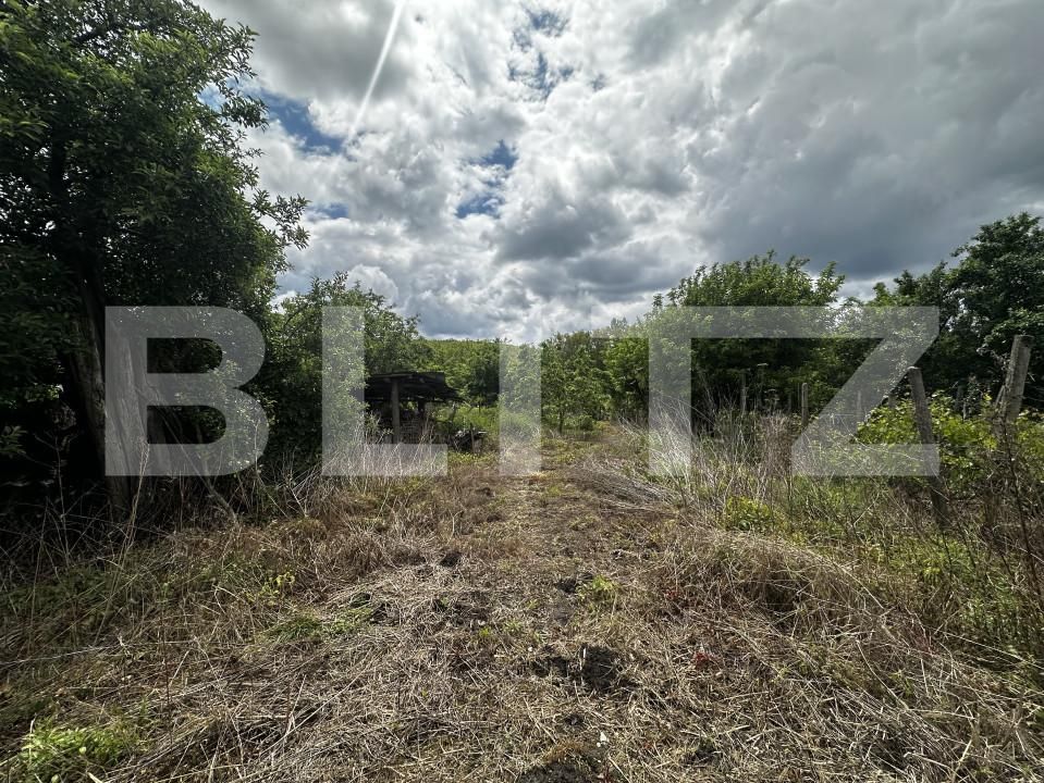 Casa de vânzare 3 camere Exterior Est - 149026CV | BLITZ Târgu Jiu | Poza10