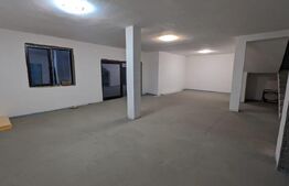 Casa P+1, 240Mp + 1400mp teren, zona Birsesti 