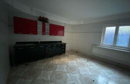 Casa individuală în regim P+1+M, teren 1100 mp, cartier Dragoieni