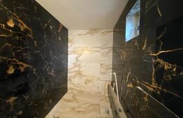 Casa individuală în regim P+1+M, teren 1100 mp, cartier Dragoieni