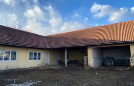 Casa individuală în regim P+1+M, teren 1100 mp, cartier Dragoieni