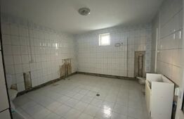 Casa individuală în regim P+1+M, teren 1100 mp, cartier Dragoieni