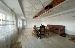 Casa individuală în regim P+1+M, teren 1100 mp, cartier Dragoieni