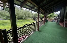 Pensiune turistica zona Runcu