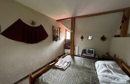 Pensiune turistica zona Runcu