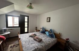 Pensiune turistica zona Runcu