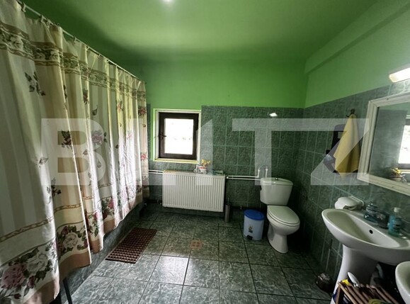 Spațiu comercial de vânzare Exterior Vest - 150036SVC | BLITZ Târgu Jiu | Poza11