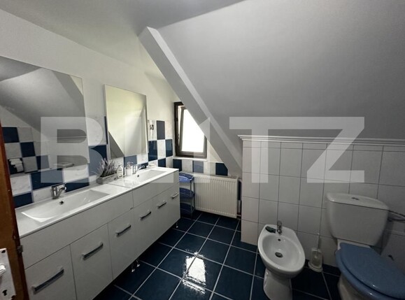 Spațiu comercial de vânzare Exterior Vest - 150036SVC | BLITZ Târgu Jiu | Poza16