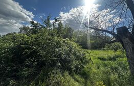 Teren 2100 mp, zona Runcu 