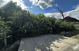 Teren 2100 mp, zona Runcu 