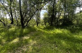 Teren 2100 mp, zona Runcu 