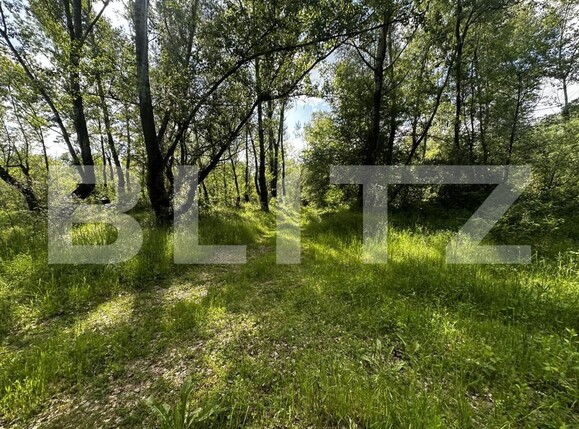 Teren de vânzare Exterior Vest - 150046TV | BLITZ Târgu Jiu | Poza2