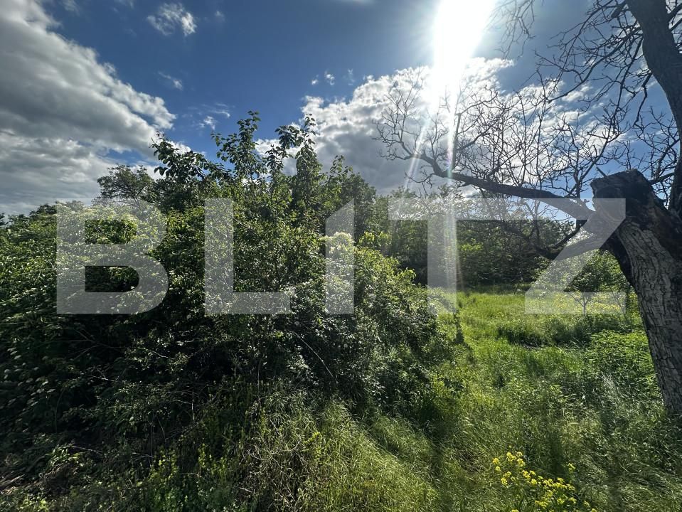 Teren de vânzare Exterior Vest - 150046TV | BLITZ Târgu Jiu | Poza3