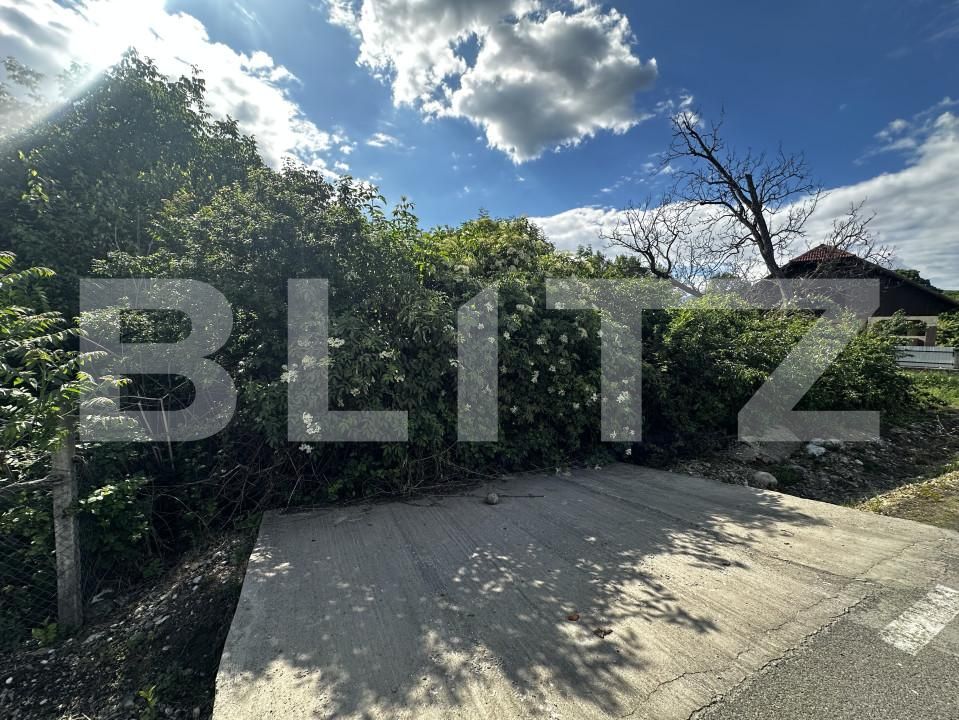 Teren de vânzare Exterior Vest - 150046TV | BLITZ Târgu Jiu | Poza1