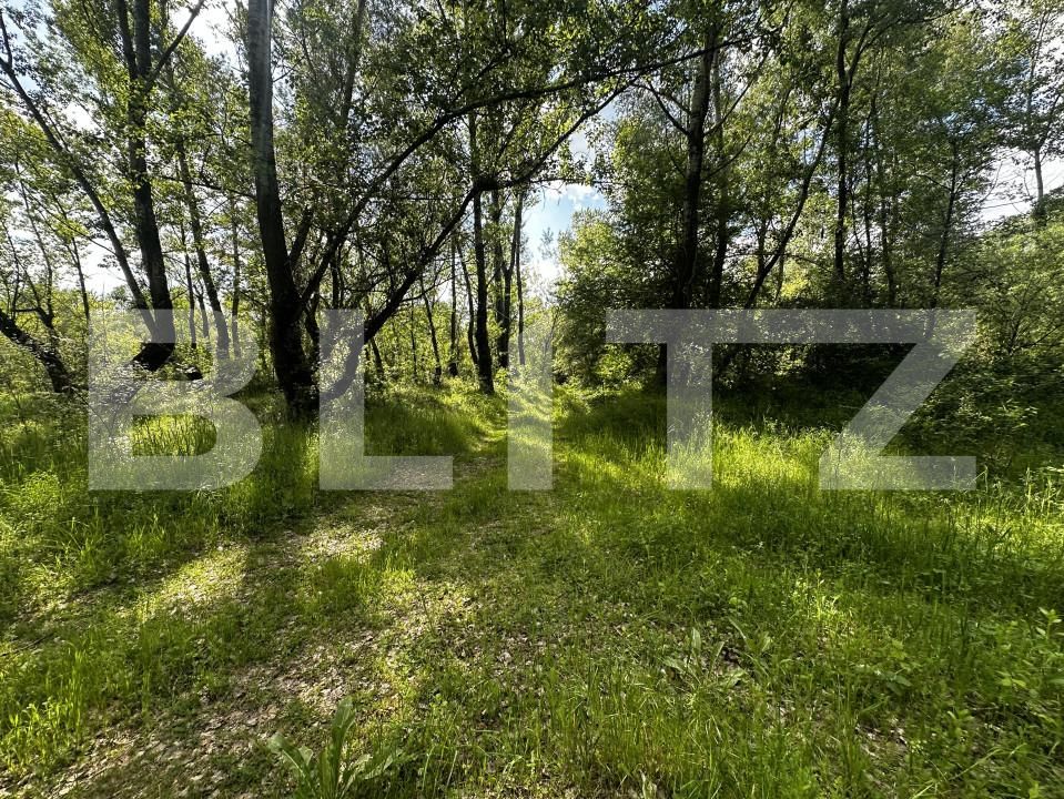 Teren de vânzare Exterior Vest - 150046TV | BLITZ Târgu Jiu | Poza2