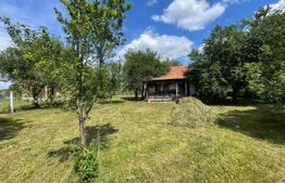 Teren intravilan ingradit cu o suprafata de 2900 mp, comuna Danesti