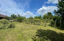 Teren intravilan ingradit cu o suprafata de 2900 mp, comuna Danesti