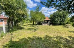 Teren intravilan ingradit cu o suprafata de 2900 mp, comuna Danesti