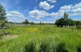 Teren intravilan ingradit cu o suprafata de 2900 mp, comuna Danesti