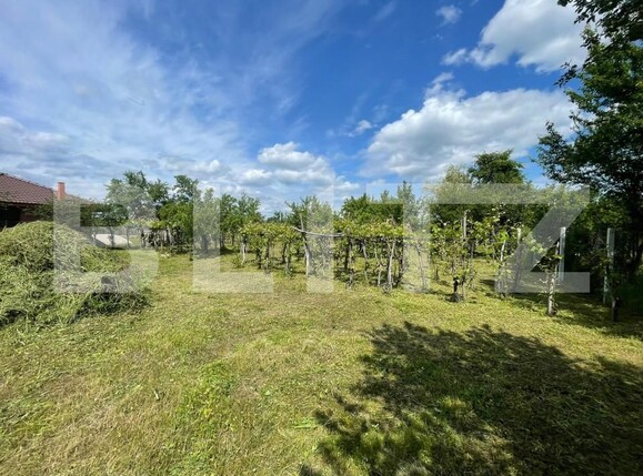 Teren de vânzare Sud Est - 150155TV | BLITZ Târgu Jiu | Poza4