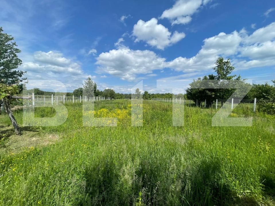 Teren de vânzare Sud Est - 150155TV | BLITZ Târgu Jiu | Poza1