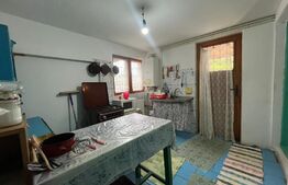 Casa de vanzare, cartierul Primaverii