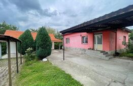 Casa ideala plan Parter, Bumbesti-Jiu, strada Principala