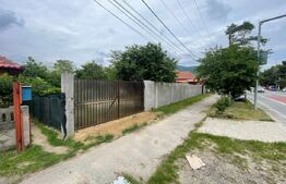 Casa ideala plan Parter, Bumbesti-Jiu, strada Principala