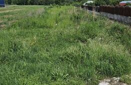 Teren intravilan  4940 mp , zona Iezureni 