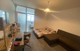 Garsoniera 30 mp zona Artego