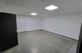 Sptiu 210 mp, zona Debarcader