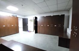 Sptiu 210 mp, zona Debarcader