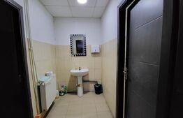Sptiu 210 mp, zona Debarcader